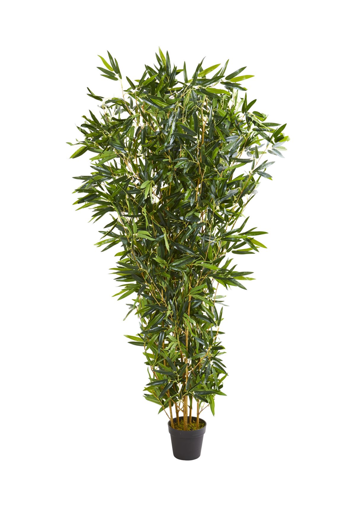 Bamboo Tree Indoor/Outdoor