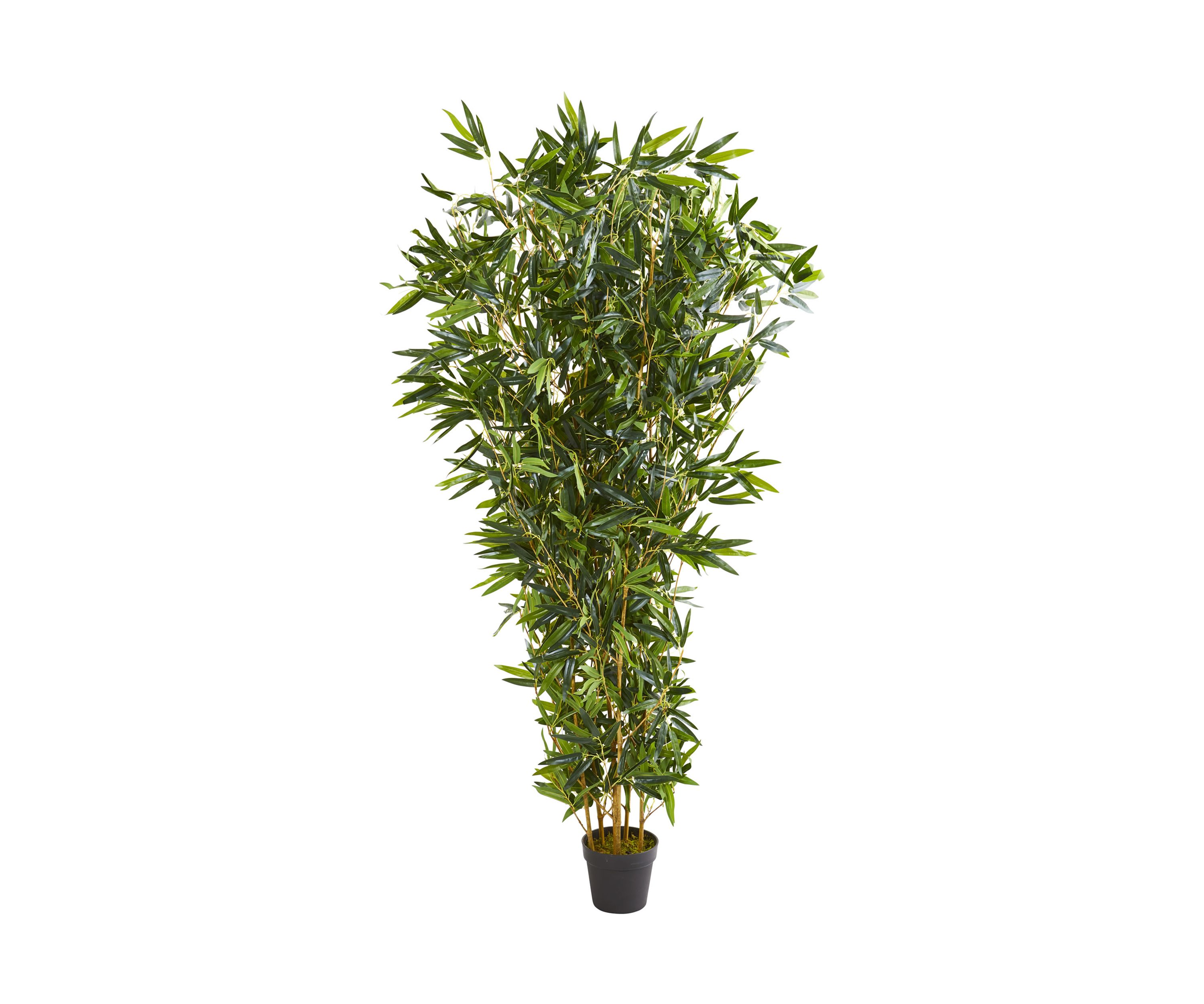 Bamboo Tree Indoor/Outdoor