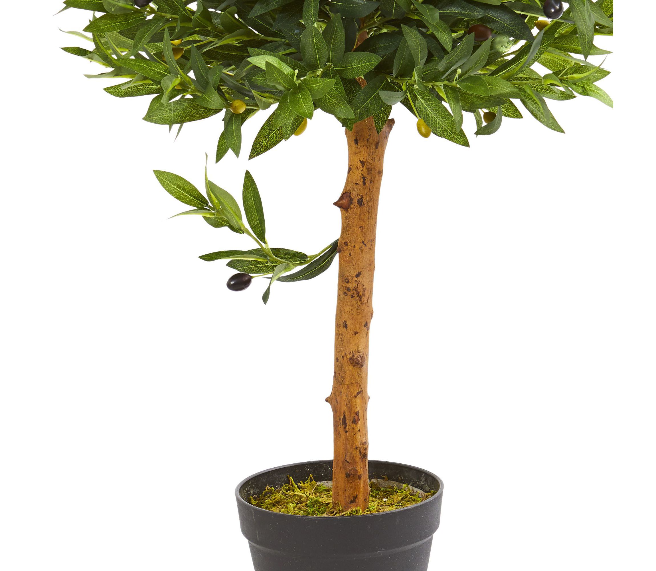34-Inch Olive Topiary Artificial Tree UV Resistant (Indoor/Outdoor)