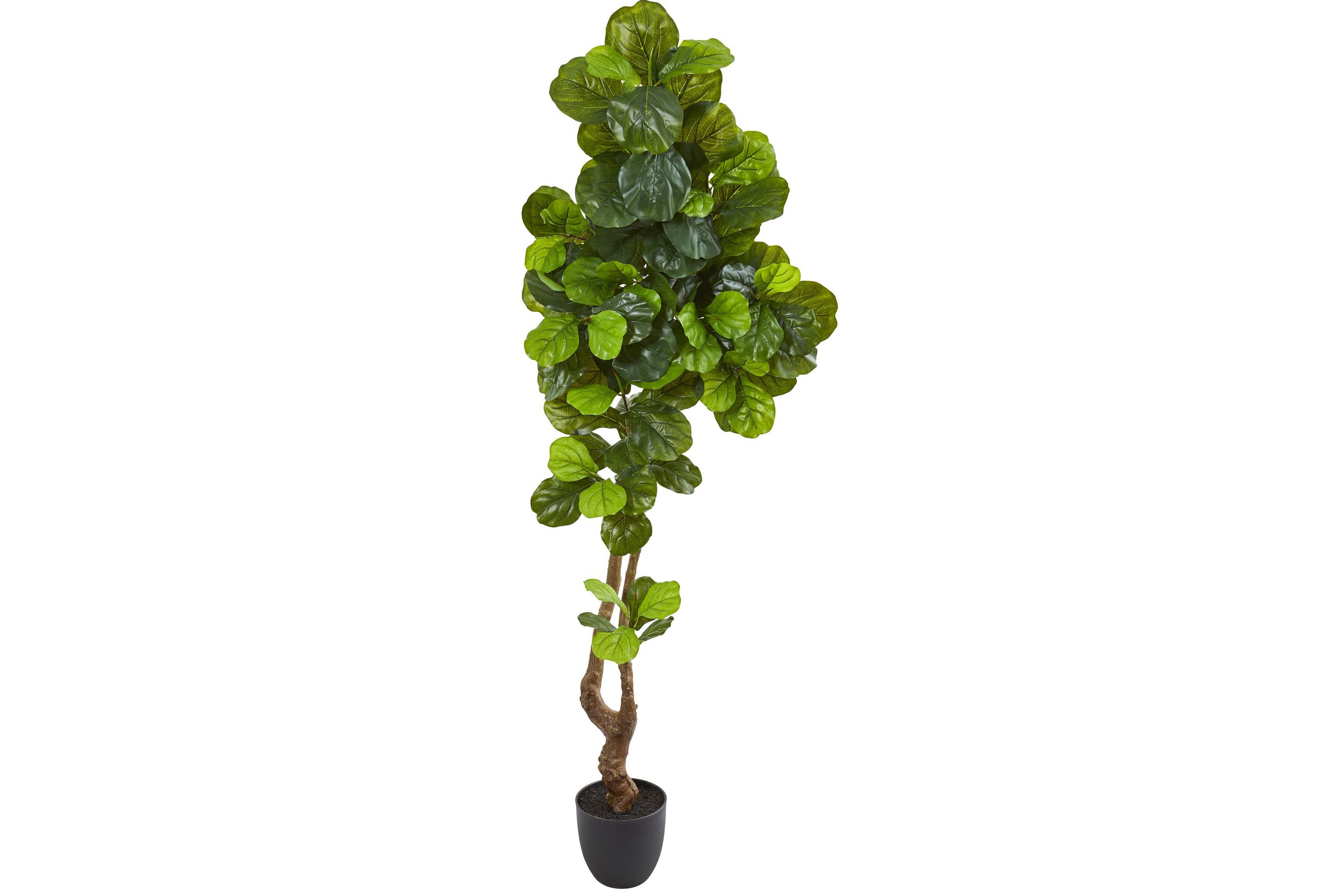 78-Inch Fiddle Leaf Artificial Tree (Real Touch)