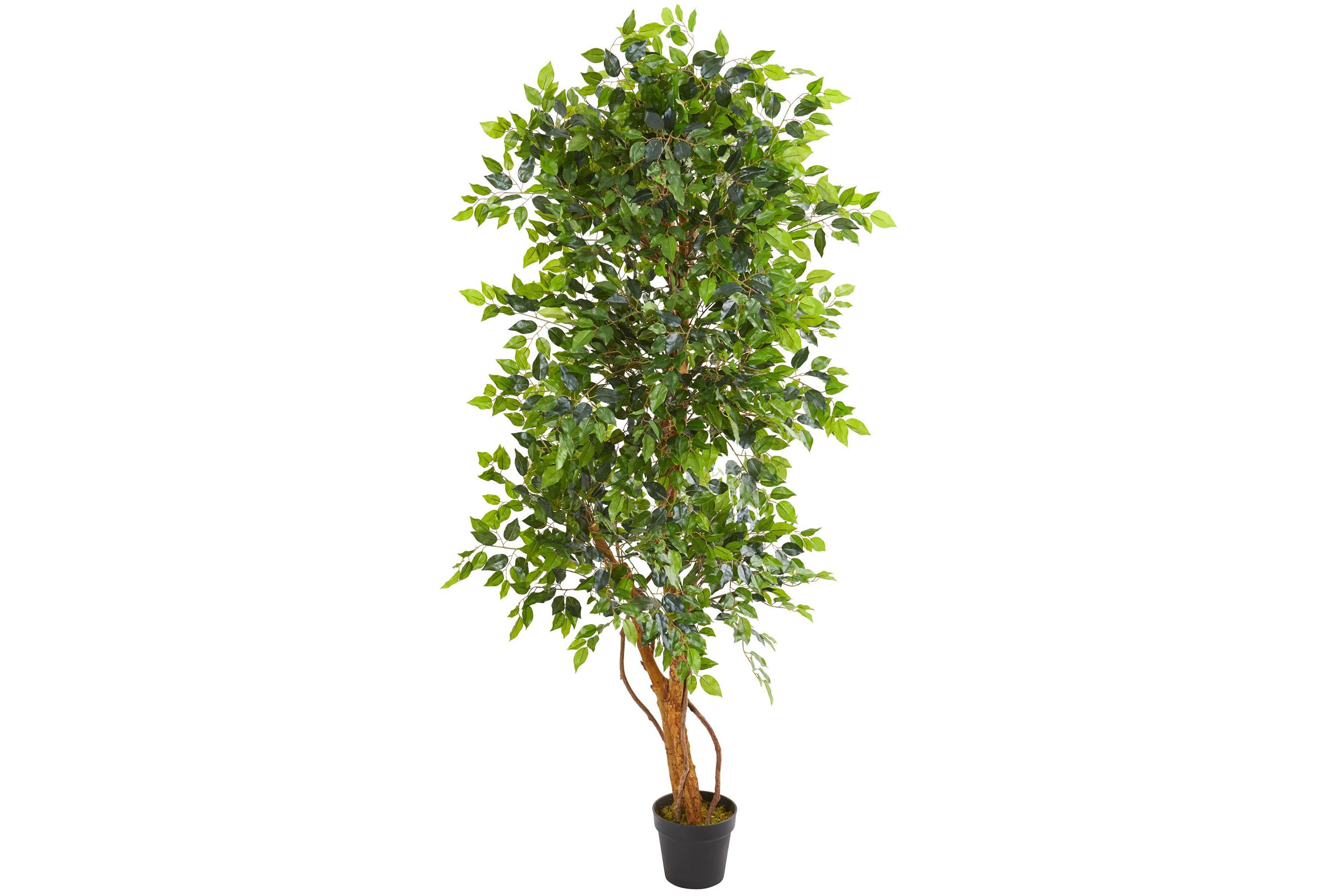 6-Foot Elegant Ficus Artificial Tree