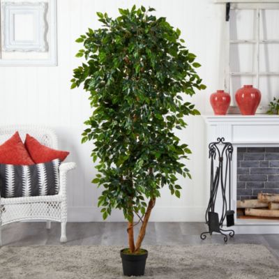 6-Foot Elegant Ficus Artificial Tree