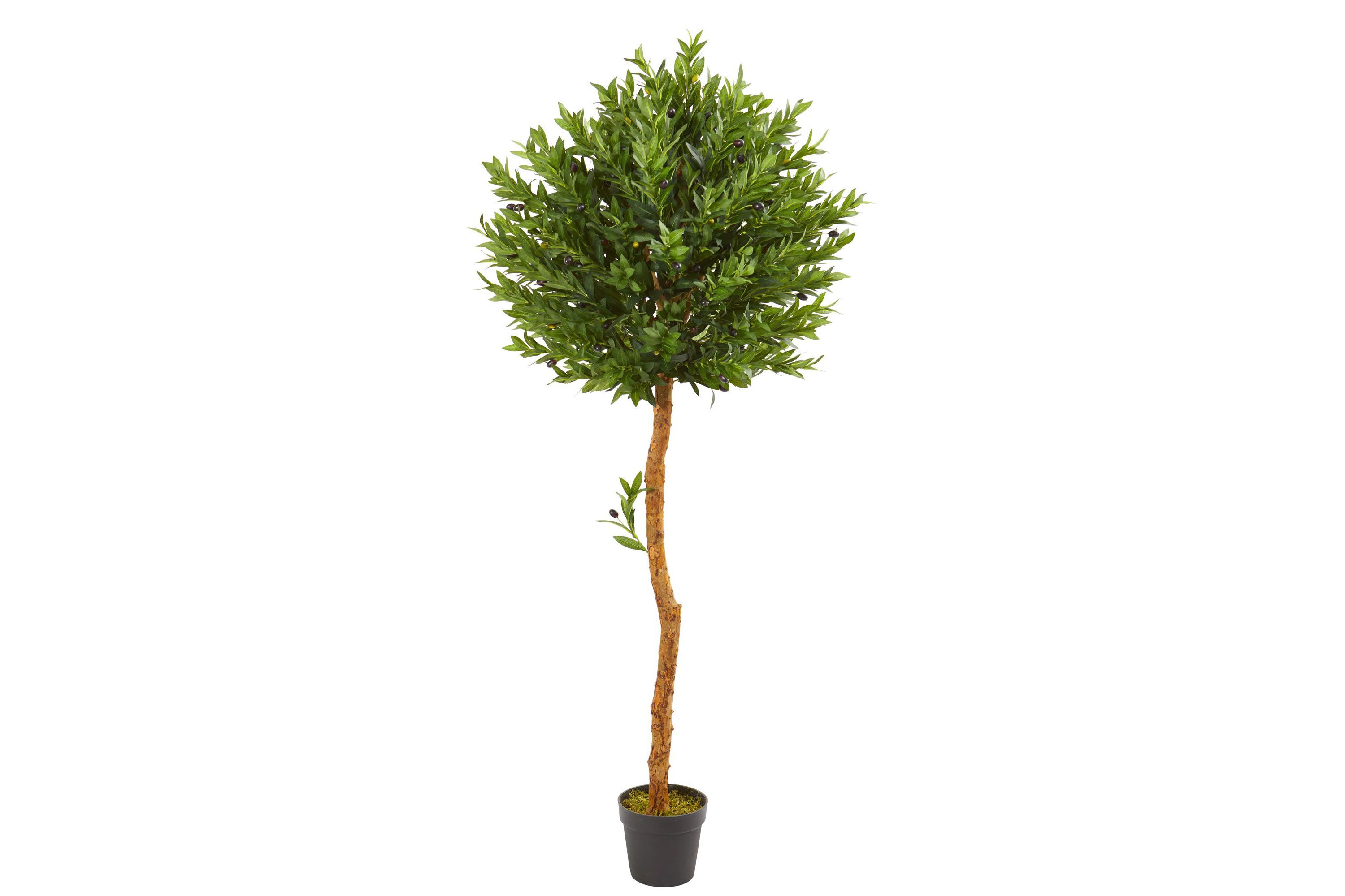 5.5-Foot Olive Topiary Artificial Tree UV Resistant (Indoor/Outdoor)