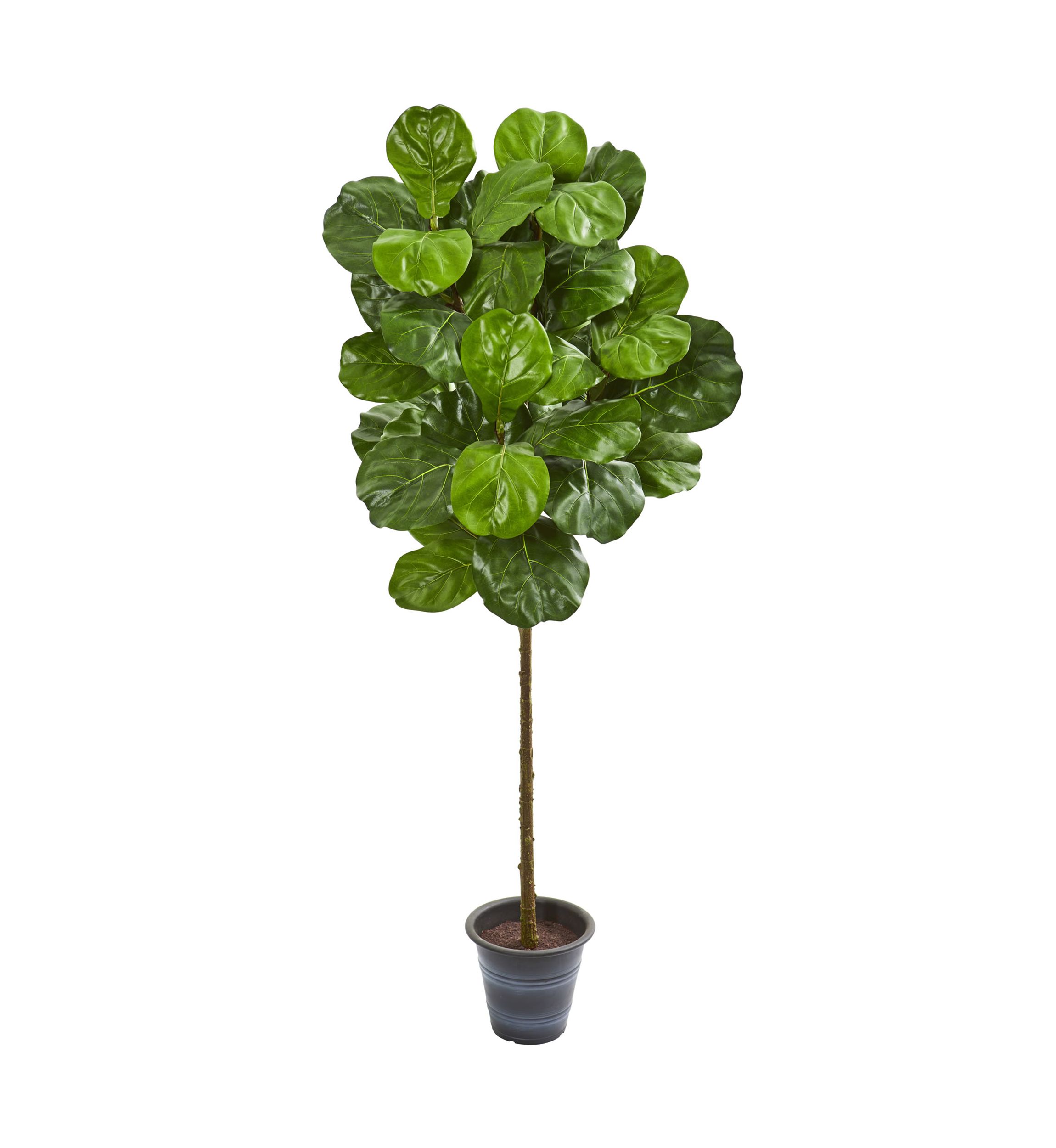 Fiddle Leaf Tree with Decorative Planter