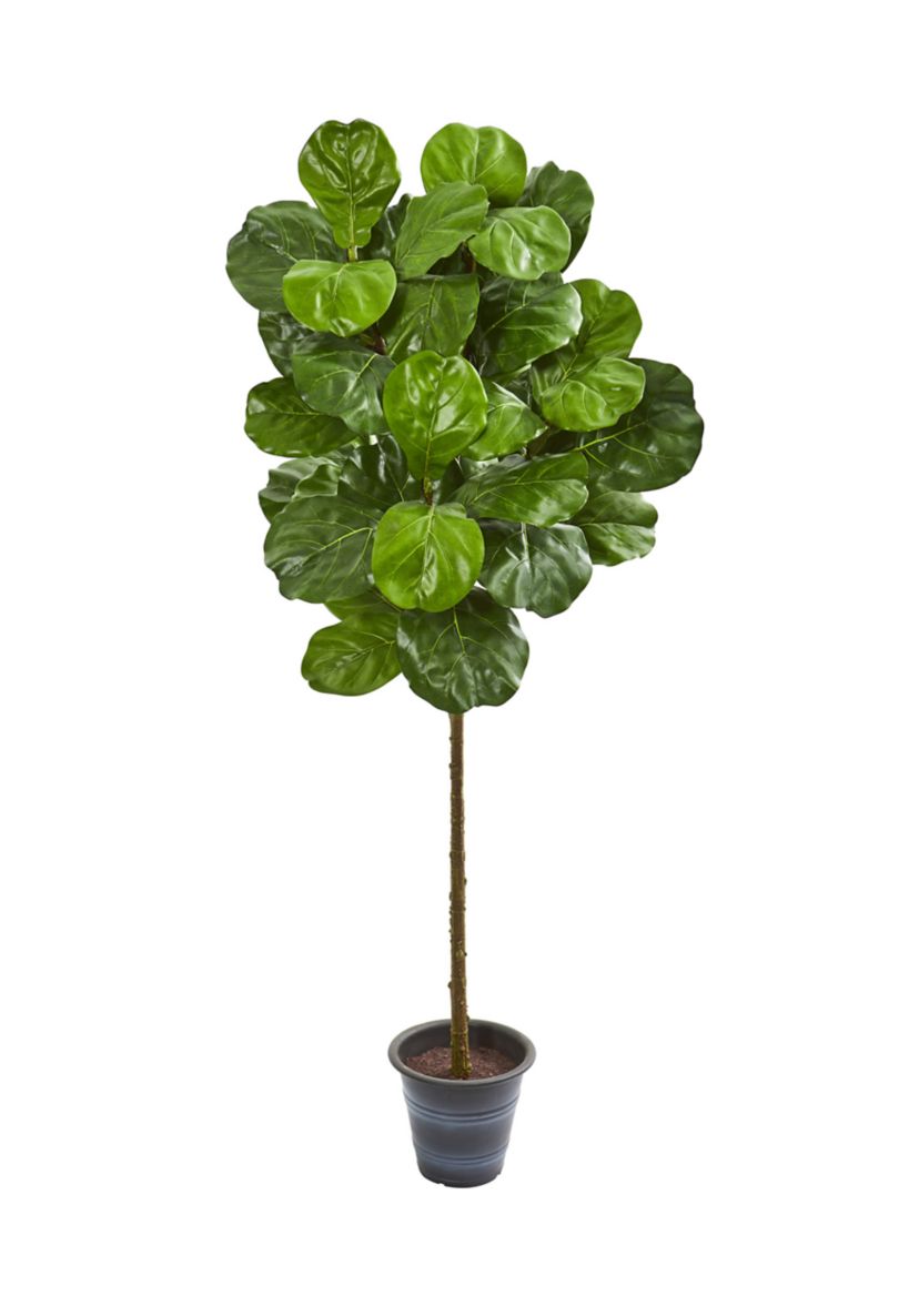 Fiddle Leaf Tree with Decorative Planter