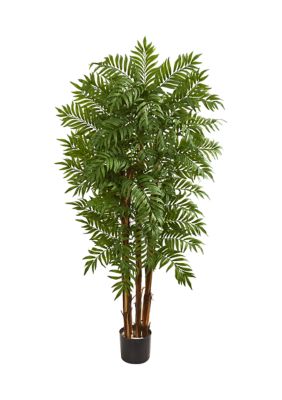 Nearly Natural Parlour Palm Tree, Green