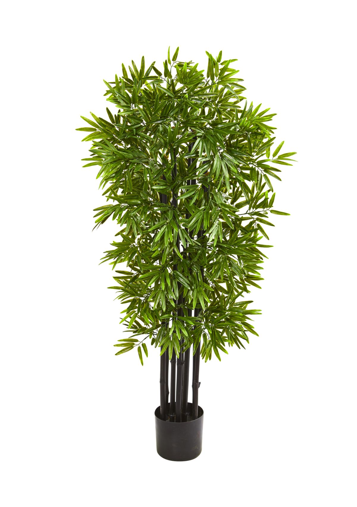 Bamboo Tree with Black Trunks Indoor/Outdoor