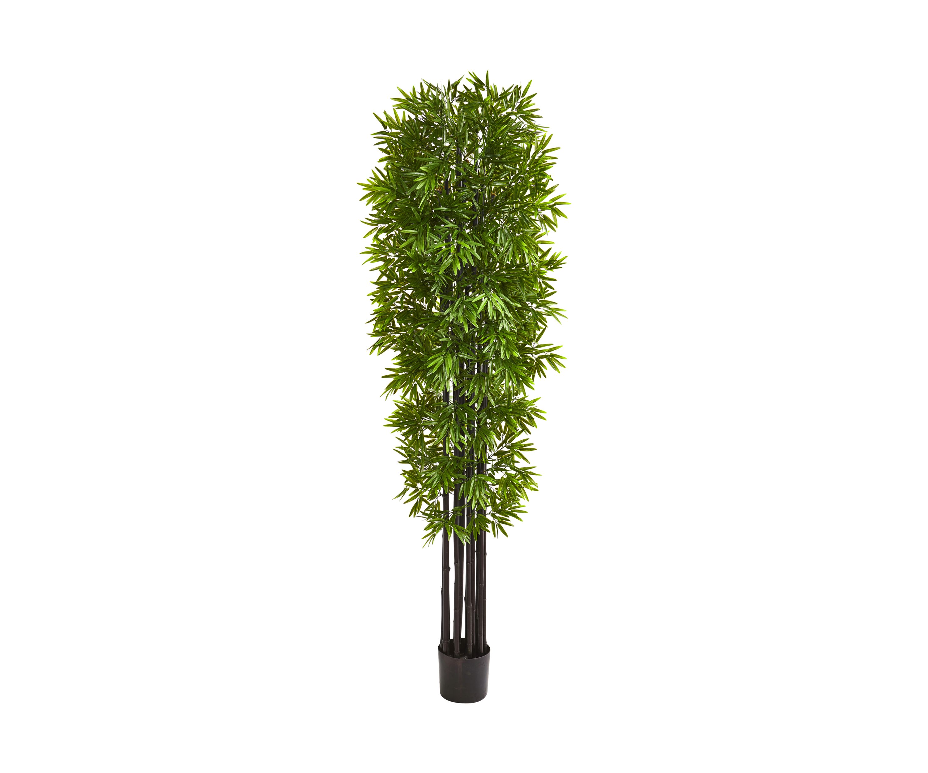 Bamboo Tree with Trunks Indoor/Outdoor
