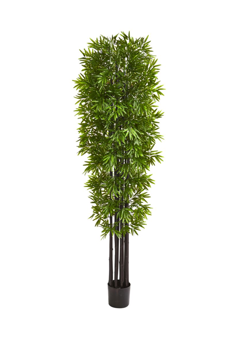 Bamboo Tree with Trunks Indoor/Outdoor