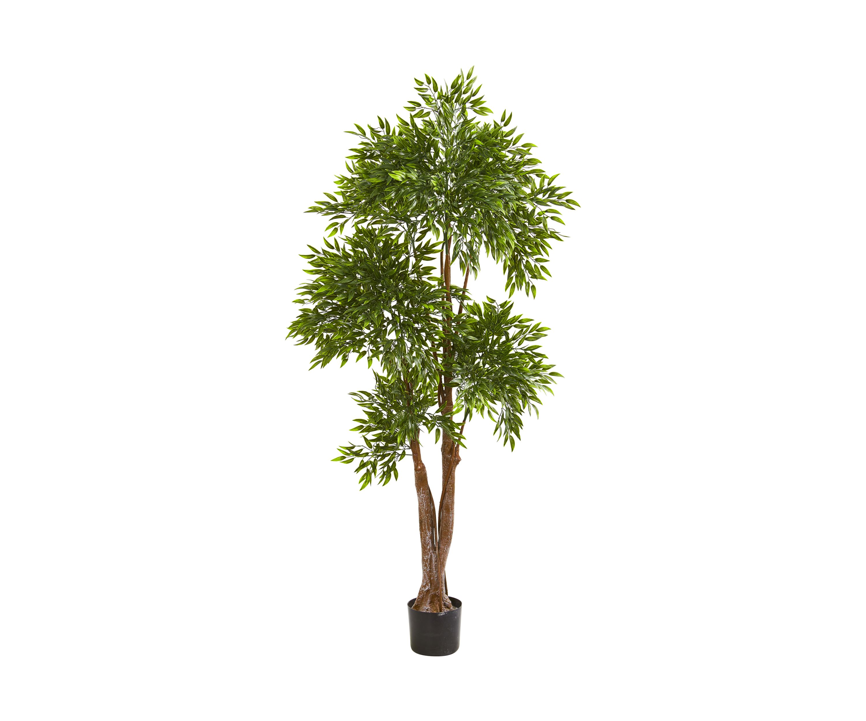 Ruscus Tree Indoor/Outdoor