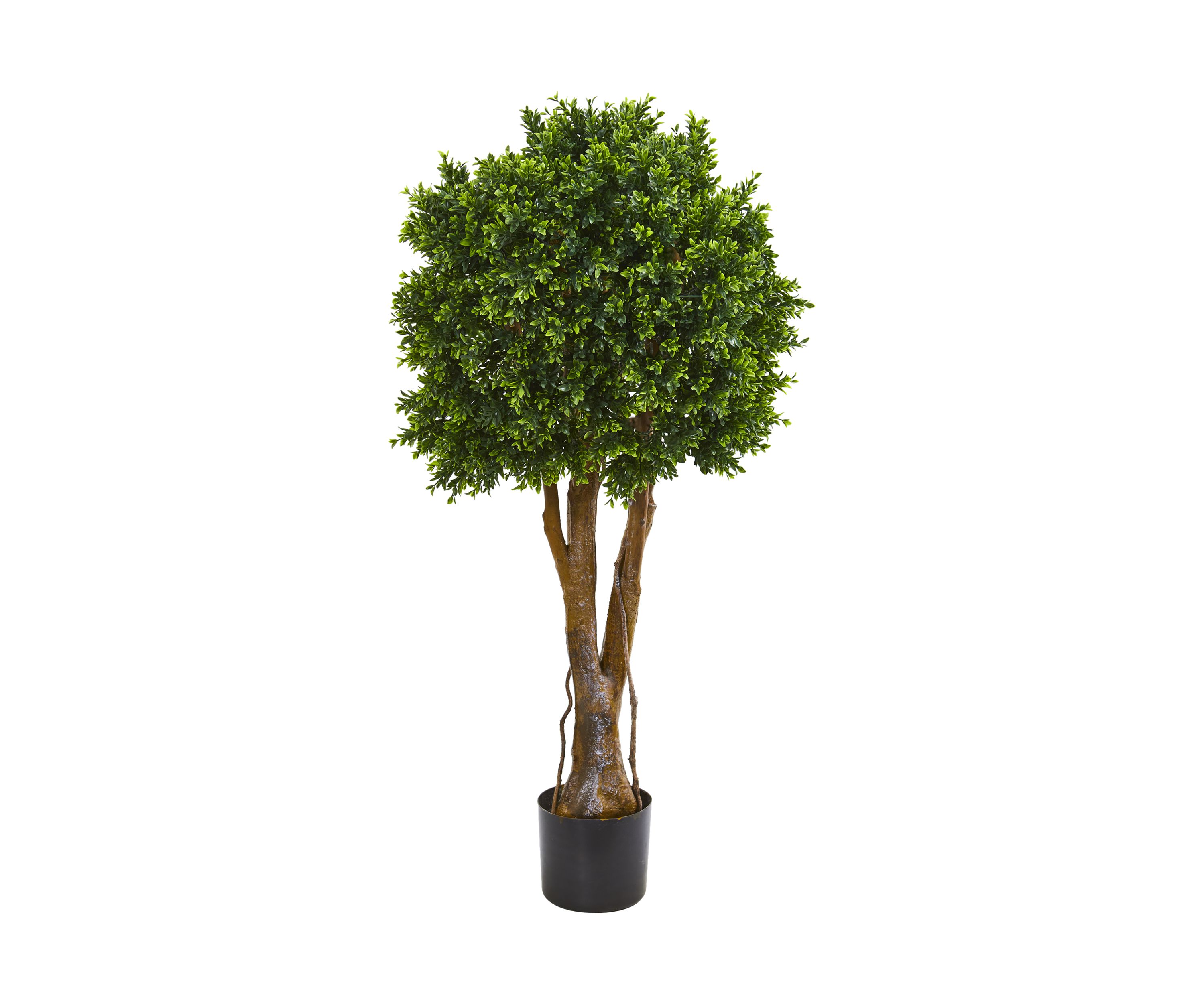 Boxwood Topiary Tree Indoor/Outdoor