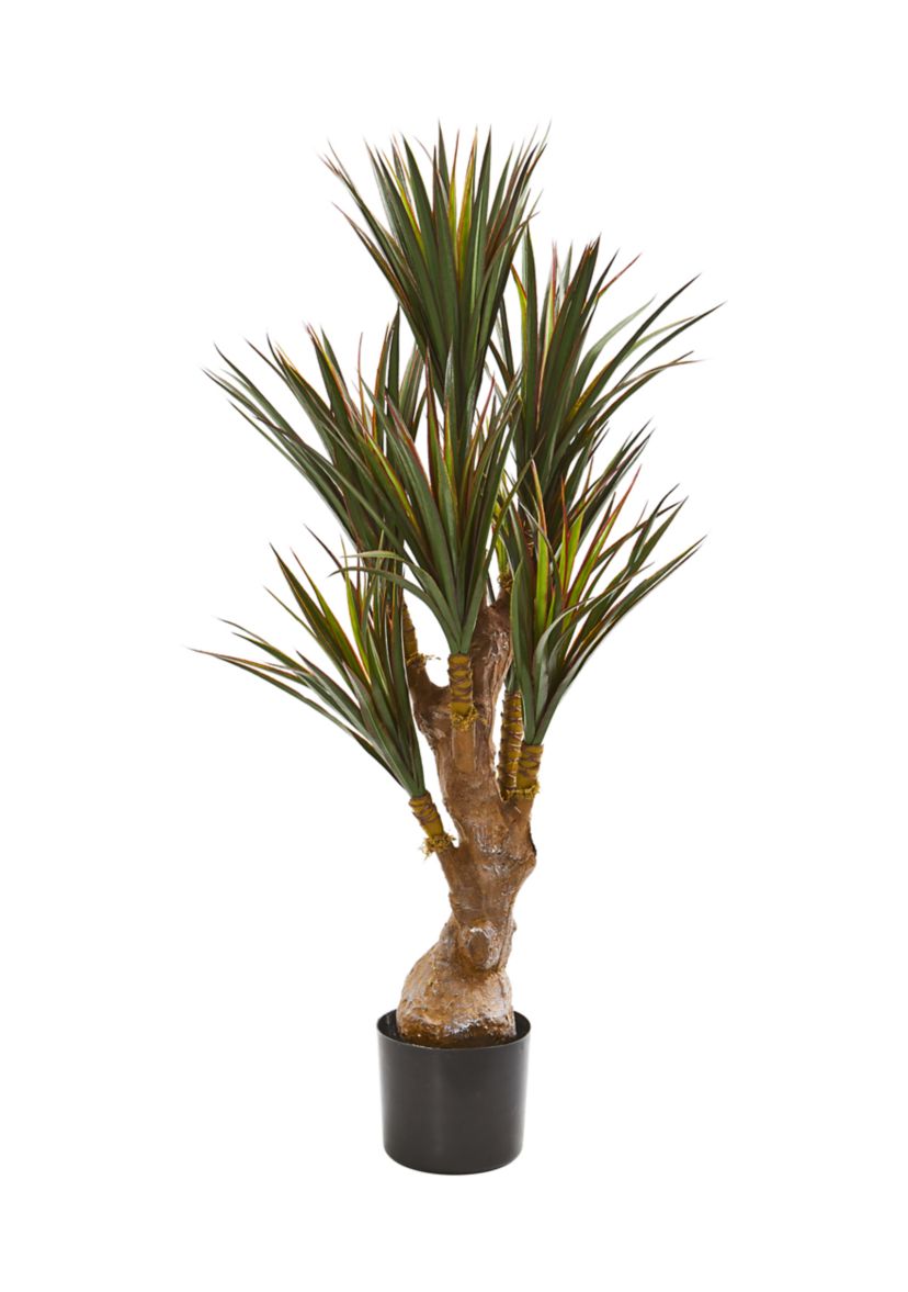 Yucca Tree Indoor/Outdoor