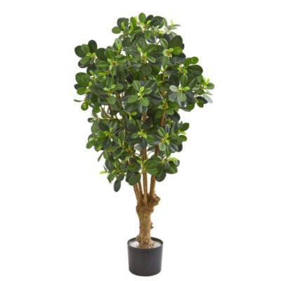 3-Foot Panda Ficus Artificial Tree