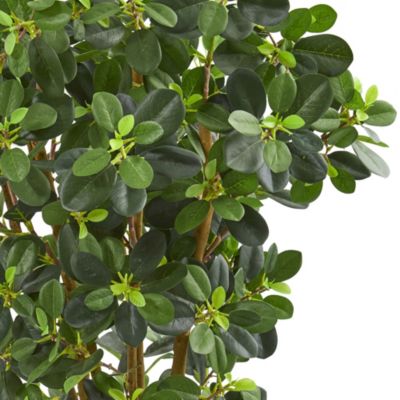 3-Foot Panda Ficus Artificial Tree