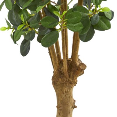 3-Foot Panda Ficus Artificial Tree