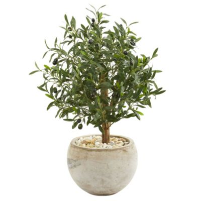 31-Inch Olive Artificial Tree in Bowl Planter