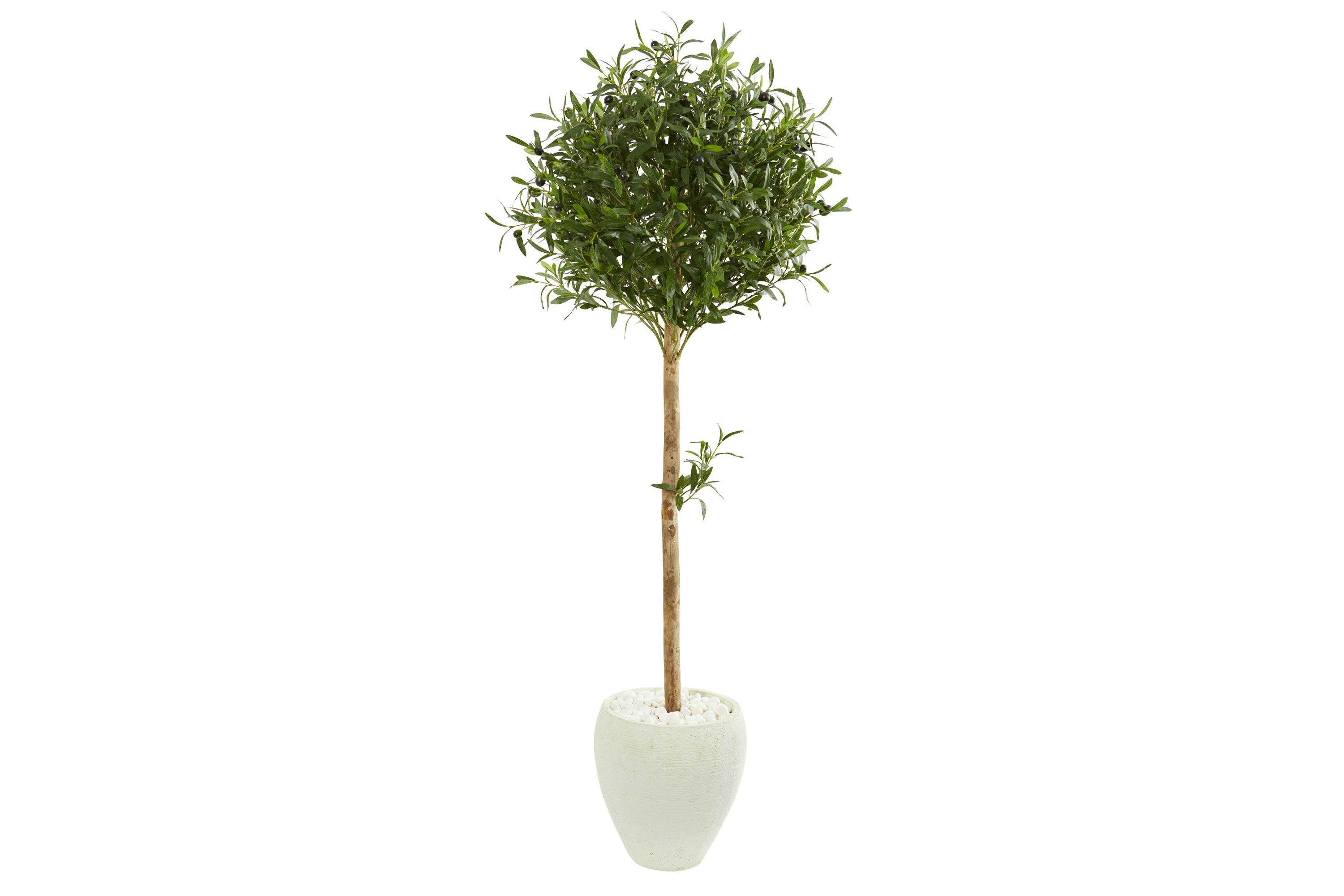 5-Foot Olive Topiary Artificial Tree in White Planter