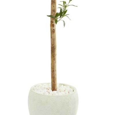 5-Foot Olive Topiary Artificial Tree in White Planter