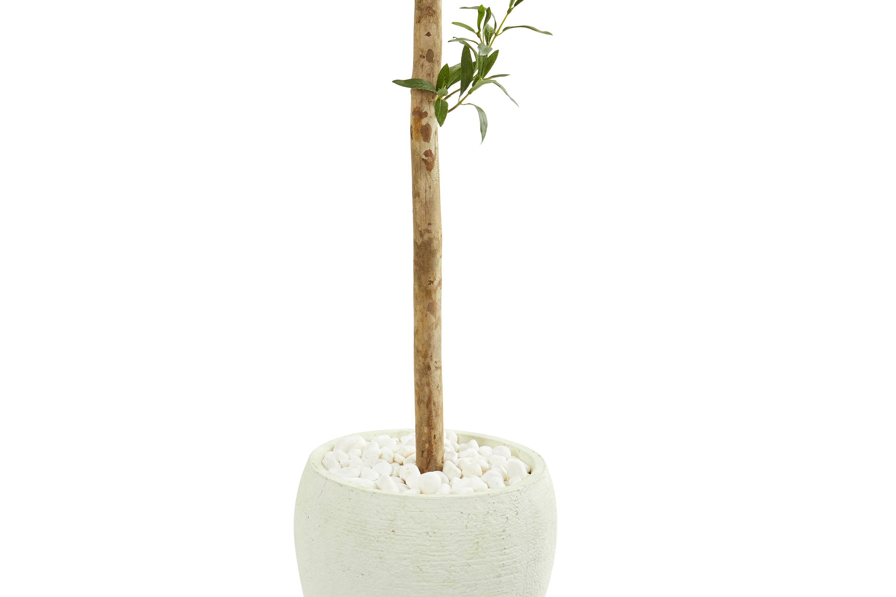 5-Foot Olive Topiary Artificial Tree in White Planter