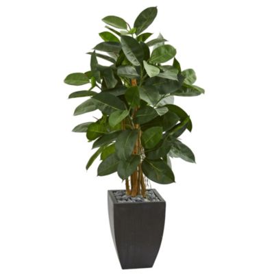 56-Inch Artificial Rubber Tree in Black Planter