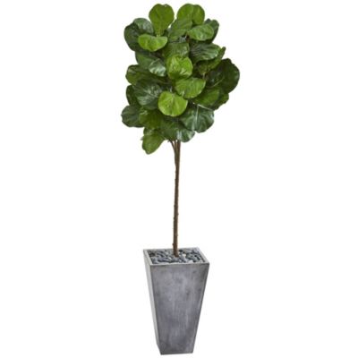 75-Inch Fiddle Leaf Artificial Tree in Cement Planter