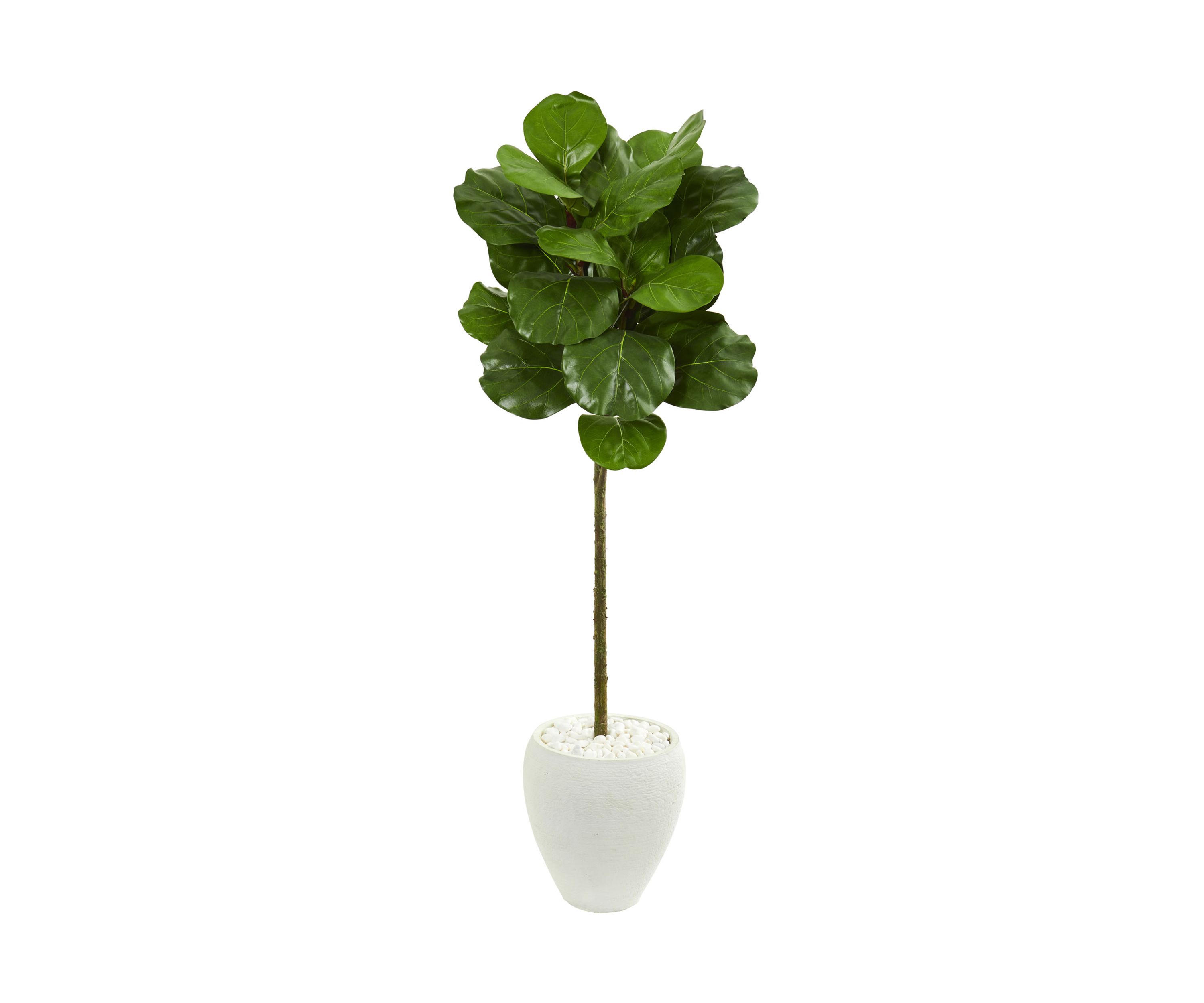 Fiddle Leaf Tree in Planter