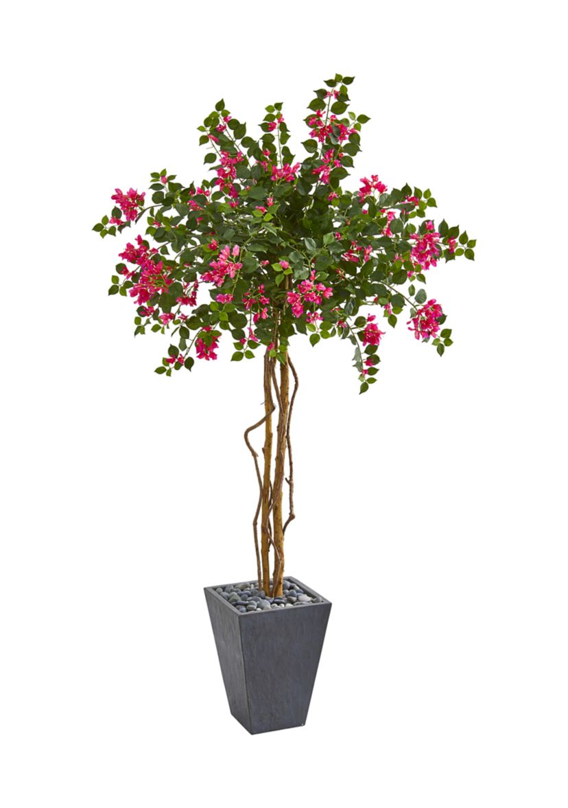 Bougainvillea Tree in Decorative Planter