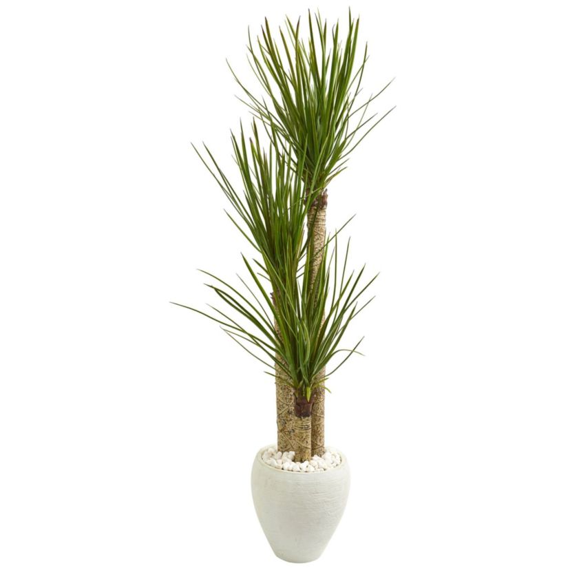 5.5-Foot Yucca Artificial Tree in White Planter