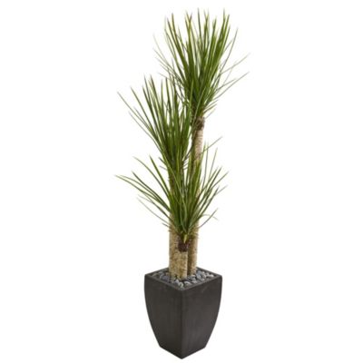 63-Inch Yucca Artificial Tree in Black Planter