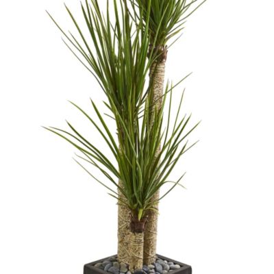 63-Inch Yucca Artificial Tree in Black Planter