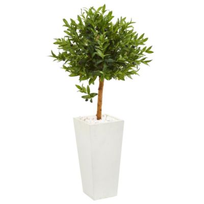 Nearly Natural 4-Foot Olive Topiary Artificial Tree in White Planter UV Resistant (Indoor/Outdoor), Green