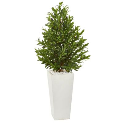 4-Foot Olive Cone Topiary Artificial Tree in White Planter UV Resistant (Indoor/Outdoor)