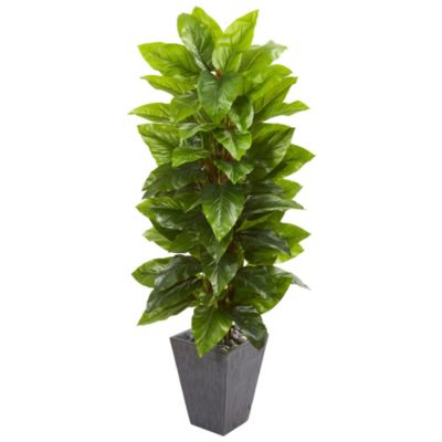 5-Foot Large Leaf Philodendron Artificial Plant in Slate Planter (Real Touch)