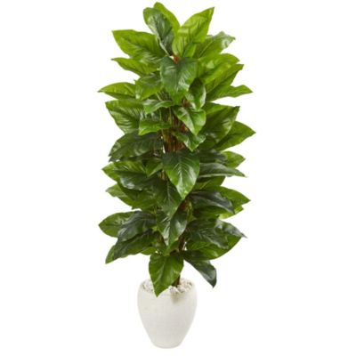 63-Inch Large Leaf Philodendron Artificial Plant in White Planter (Real Touch)
