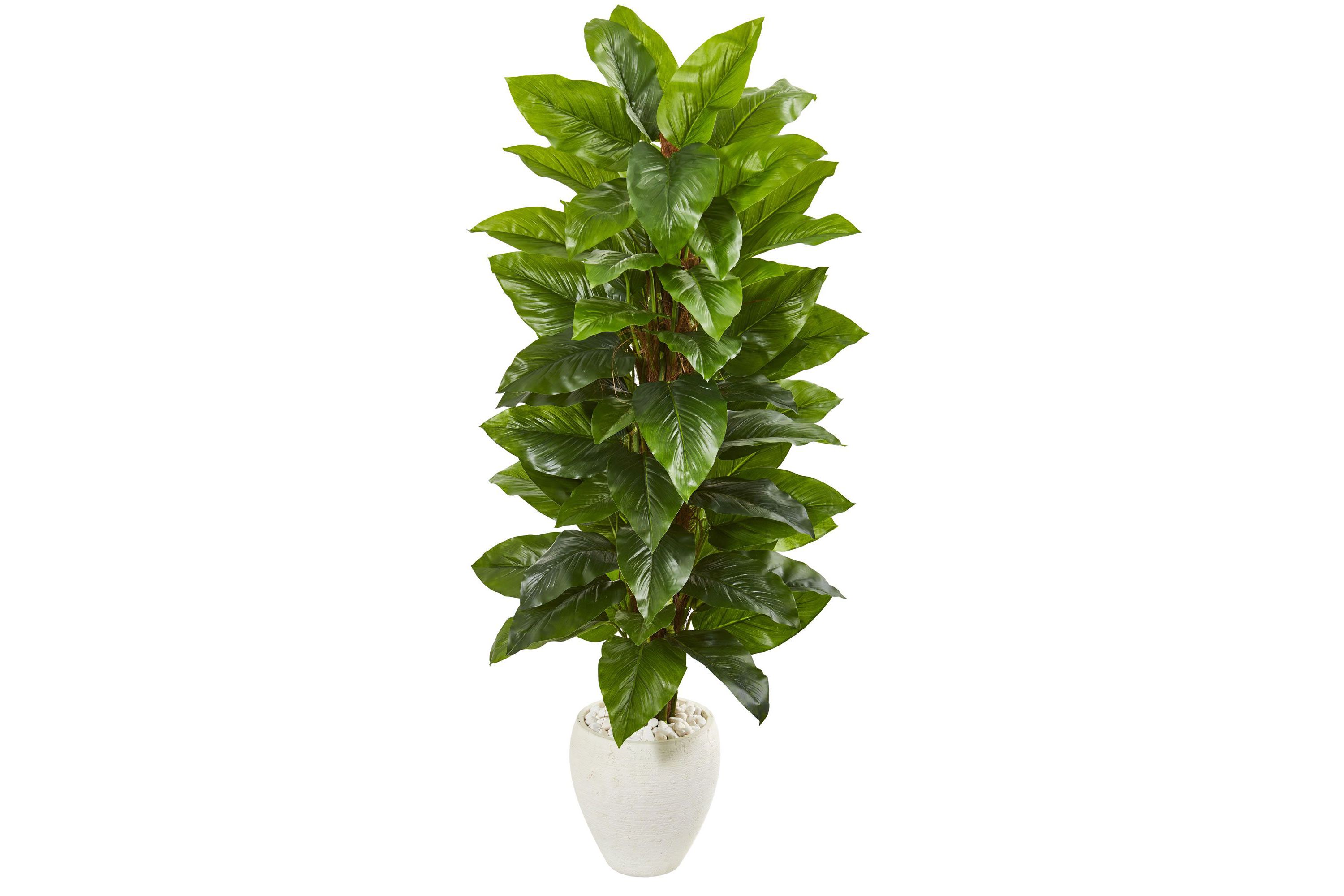 63-Inch Large Leaf Philodendron Artificial Plant in White Planter (Real Touch)