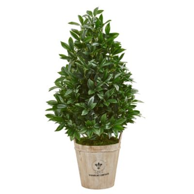 39-Inch Bay Leaf Cone Topiary Artificial Tree in Farmhouse Planter