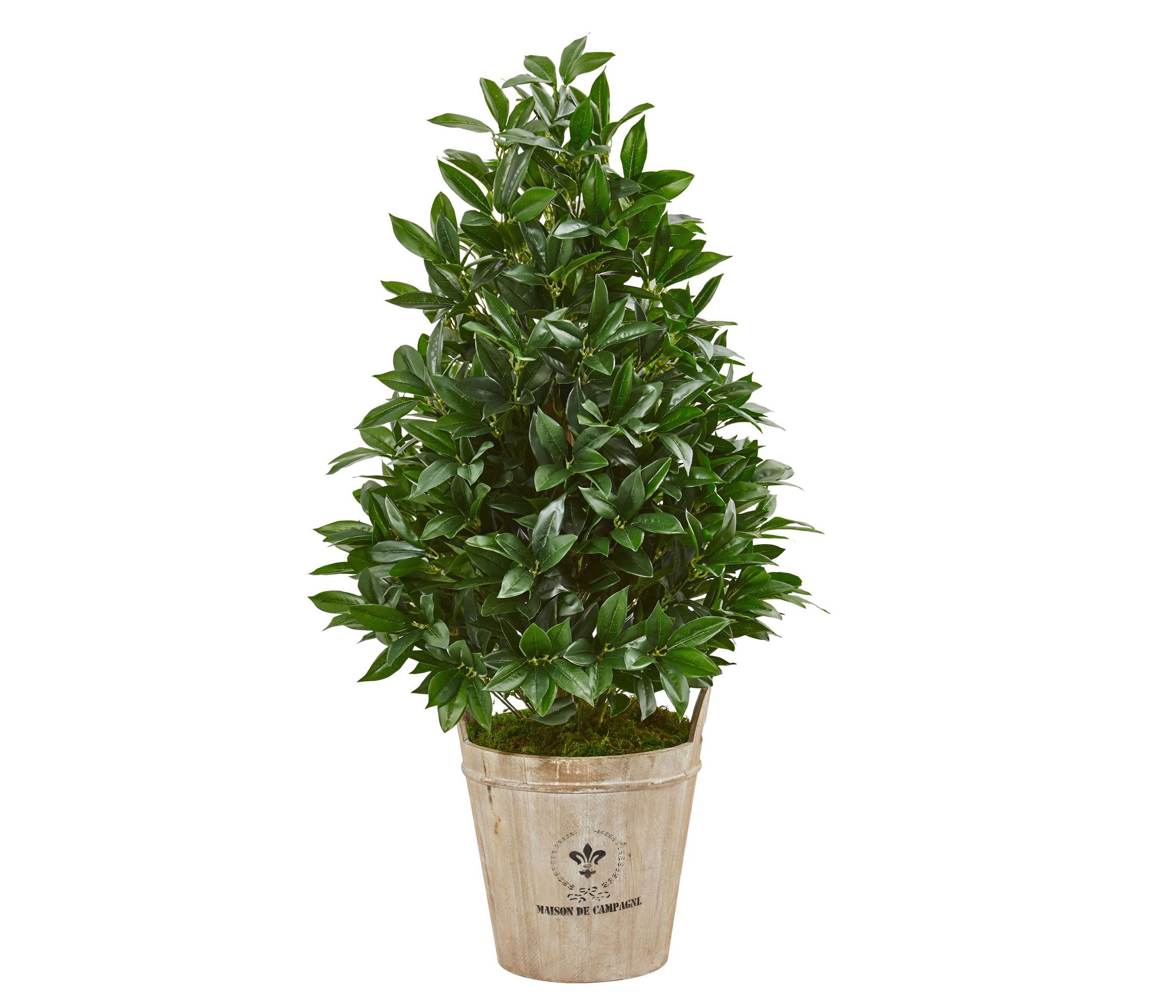 39-Inch Bay Leaf Cone Topiary Artificial Tree in Farmhouse Planter
