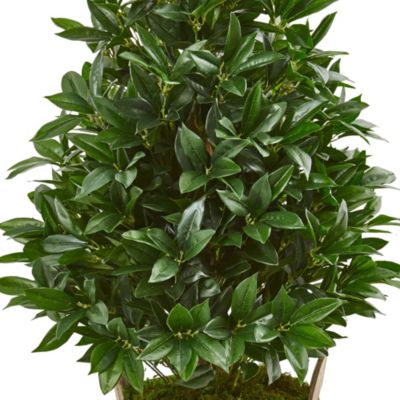 39-Inch Bay Leaf Cone Topiary Artificial Tree in Farmhouse Planter