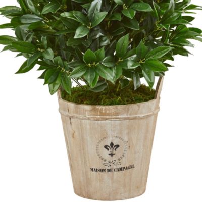 39-Inch Bay Leaf Cone Topiary Artificial Tree in Farmhouse Planter