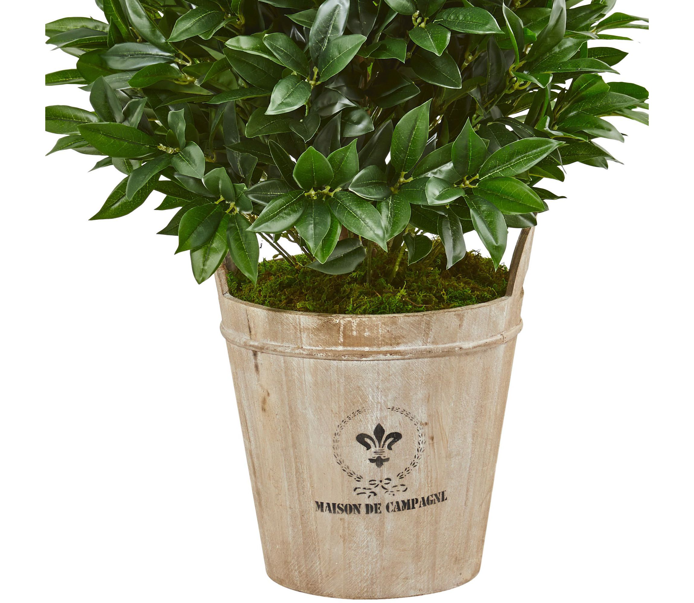39-Inch Bay Leaf Cone Topiary Artificial Tree in Farmhouse Planter