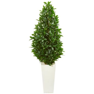 63-Inch Bay Leaf Cone Topiary Artificial Tree in White Planter UV Resistant (Indoor/Outdoor)