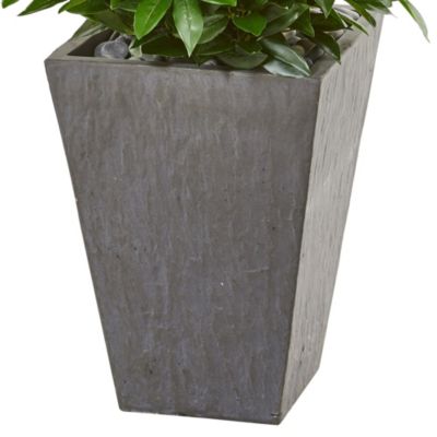 57-Inch Bay Leaf Cone Topiary Tree in Slate Planter UV Resistant (Indoor/Outdoor)