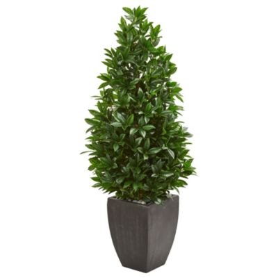 Nearly Natural 56-Inch Bay Leaf Cone Topiary Artificial Tree UV Resistant in Black Planter (Indoor/Outdoor), Green