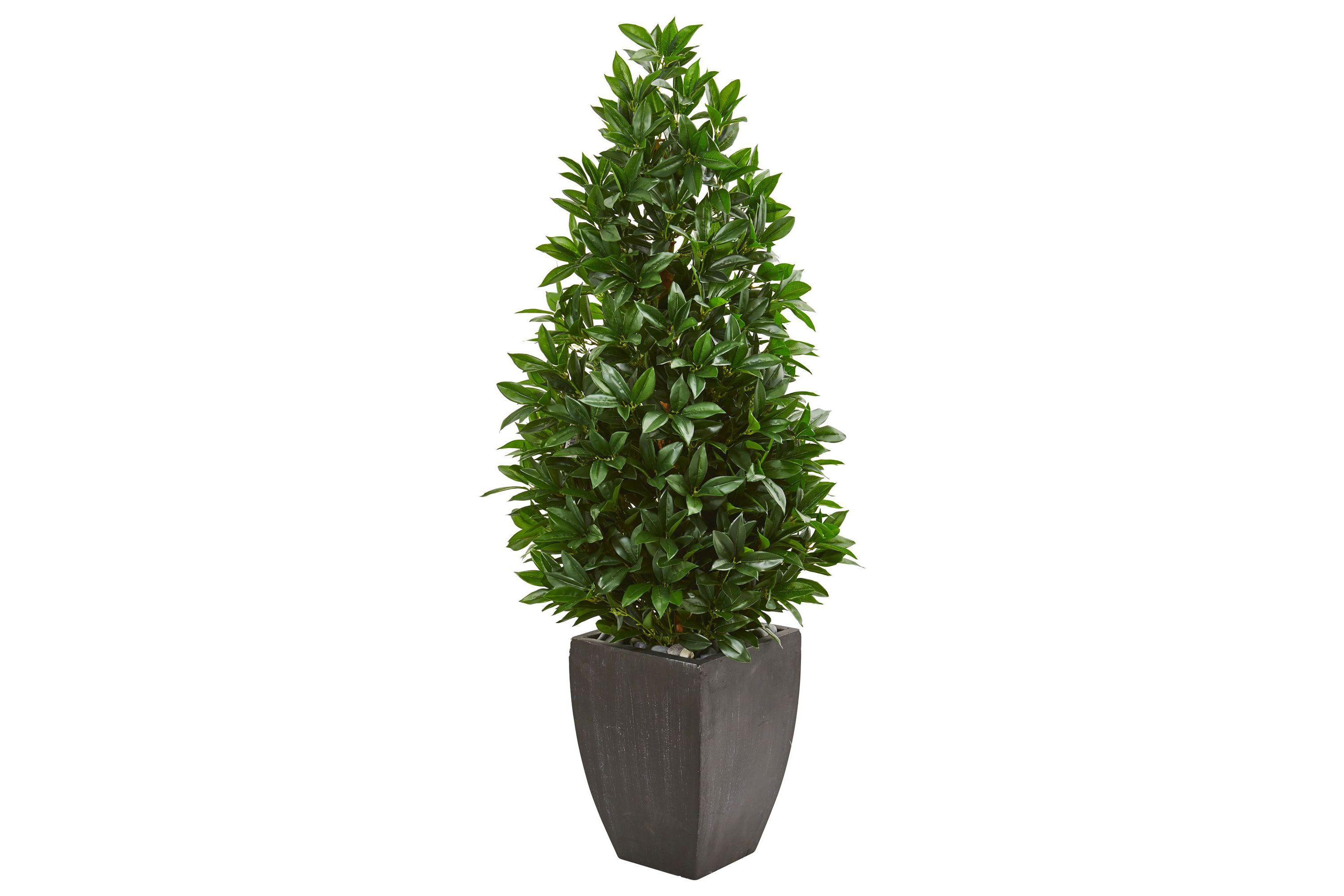 56-Inch Bay Leaf Cone Topiary Artificial Tree UV Resistant in Black Planter (Indoor/Outdoor)