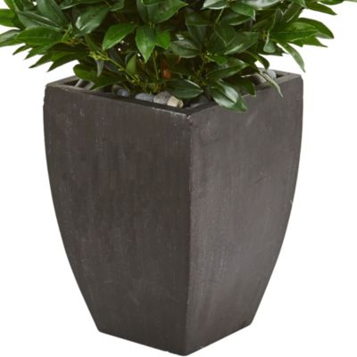 56-Inch Bay Leaf Cone Topiary Artificial Tree UV Resistant in Black Planter (Indoor/Outdoor)