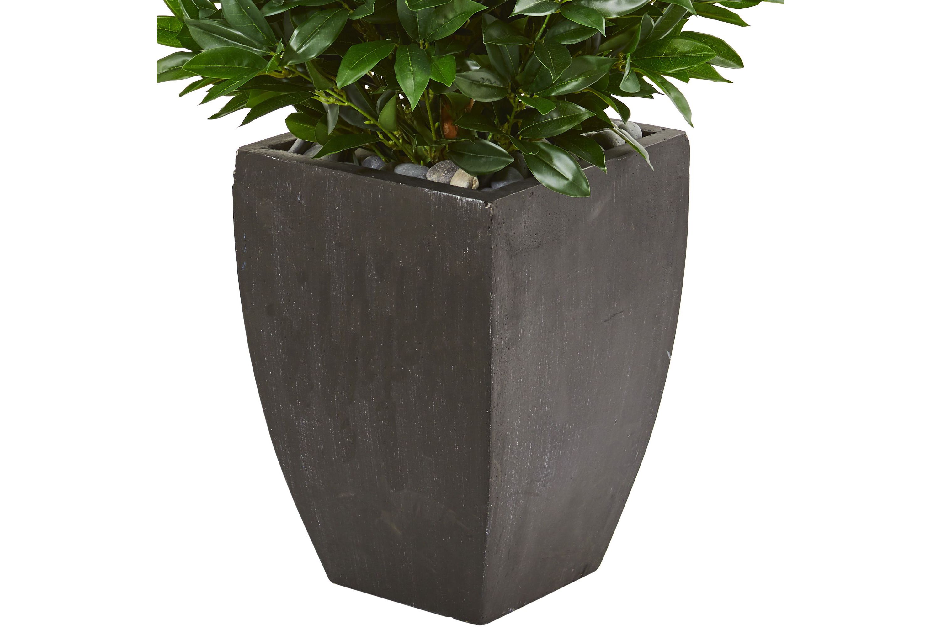 56-Inch Bay Leaf Cone Topiary Artificial Tree UV Resistant in Black Planter (Indoor/Outdoor)