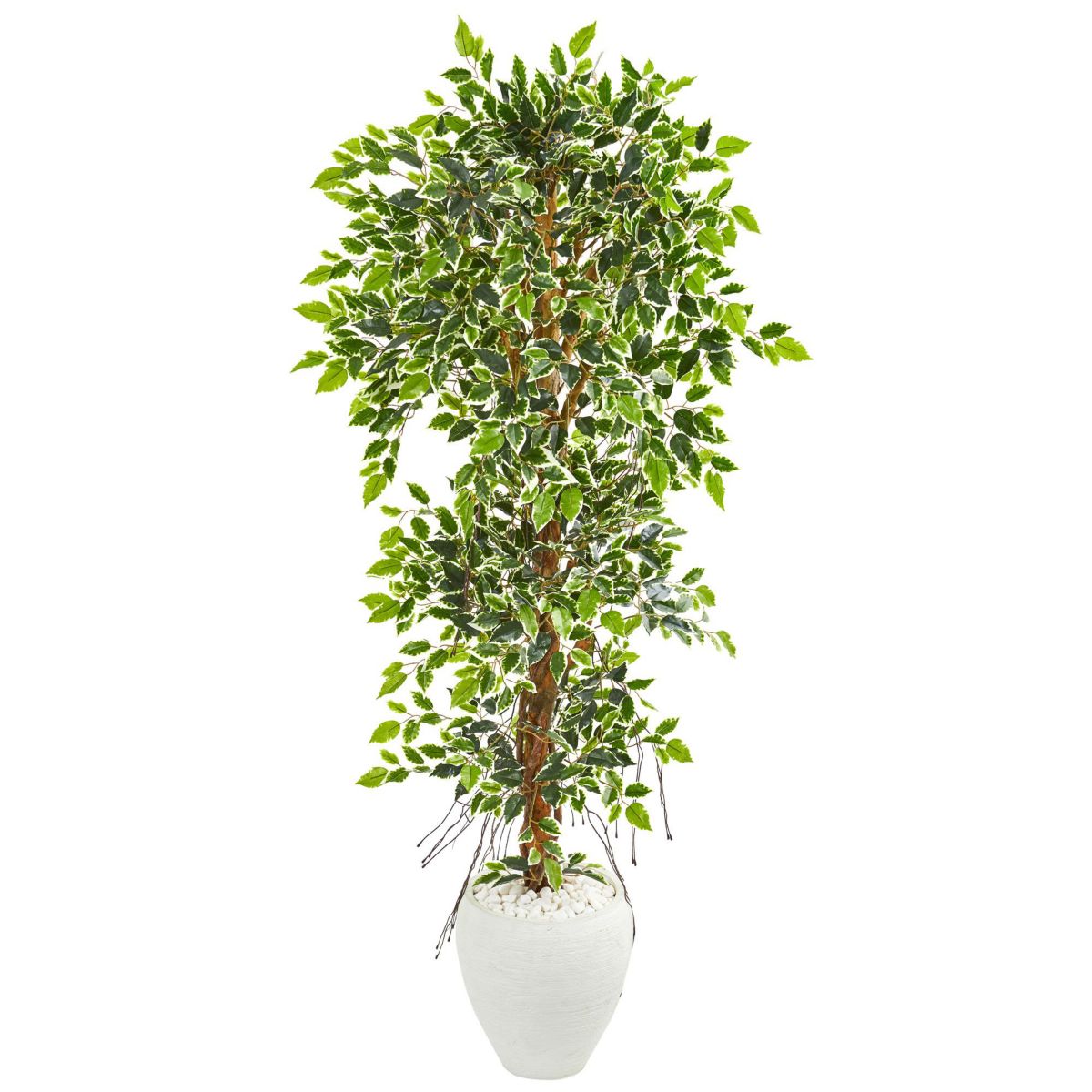 5.5-Foot Elegant Ficus Artificial Tree in White Planter
