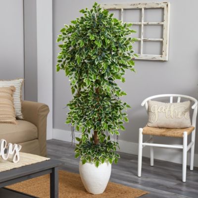 5.5-Foot Elegant Ficus Artificial Tree in White Planter