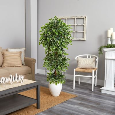 5.5-Foot Elegant Ficus Artificial Tree in White Planter