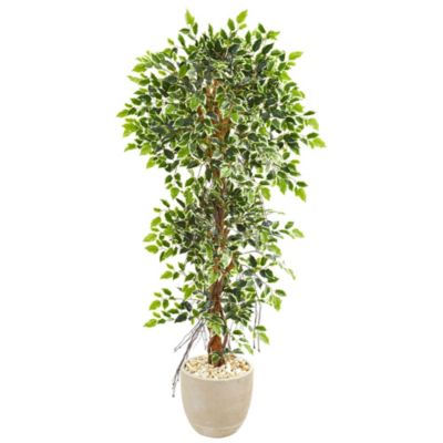 63-Inch Elegant Ficus Artificial Tree in Sandstone Planter